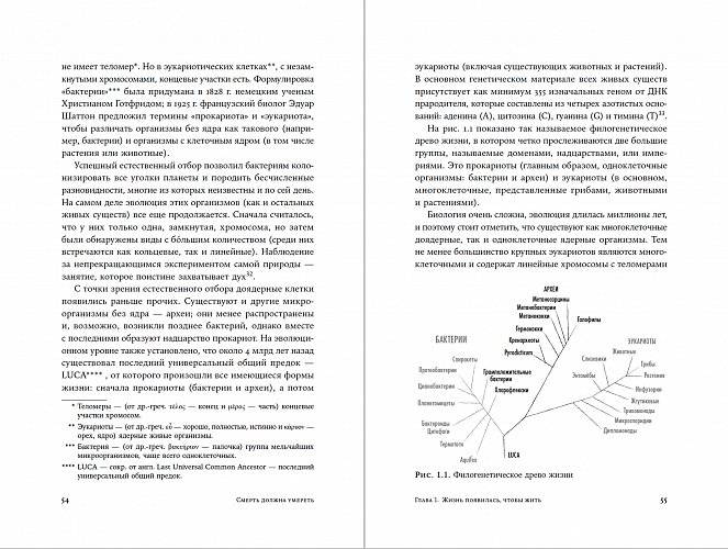 Смерть должна умереть. Наука в борьбе за наше бессмертие фото книги 5