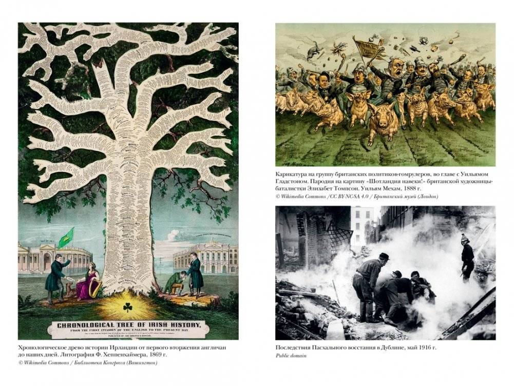 Краткая история Ирландии фото книги 4
