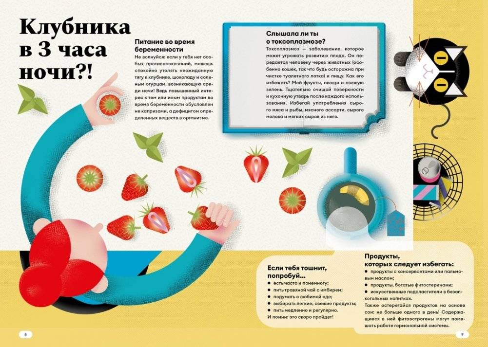 Путешествие малыша. Дневник беременности будущей мамы фото книги 2