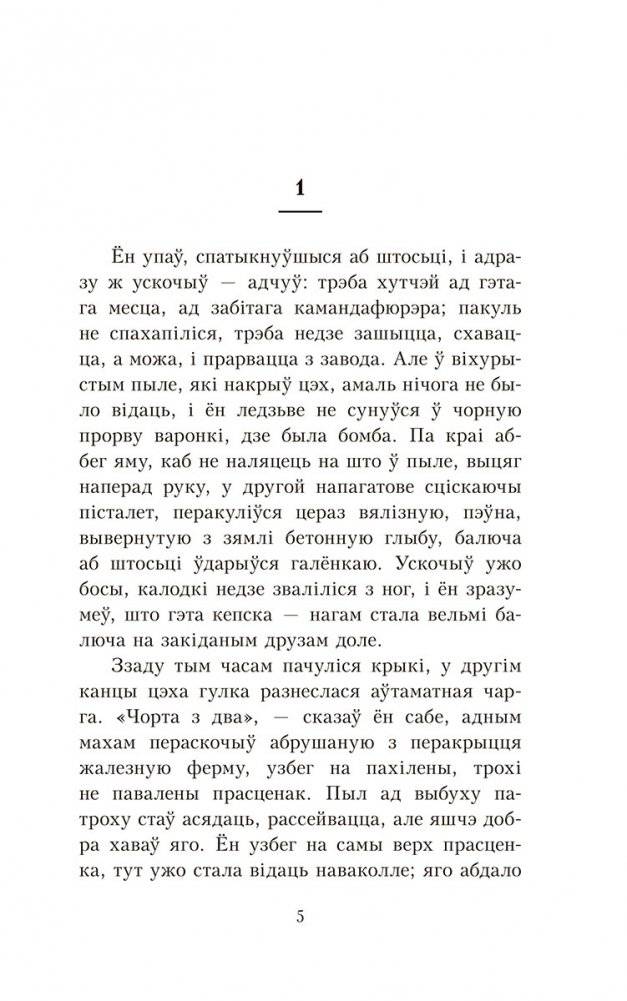 Альпійская балада фото книги 2