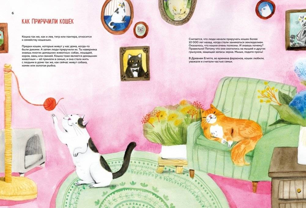 Невероятные коты. Всё, что нужно знать о любимых питомцах фото книги 2