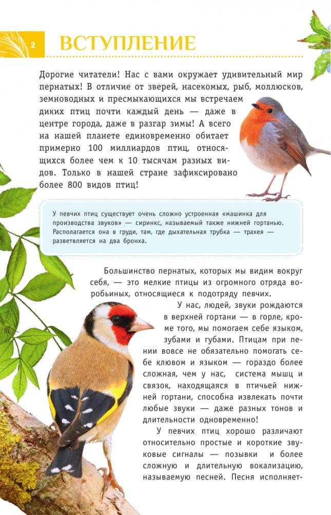 Певчие птицы. Средняя полоса европейской части России. Определитель с голосами птиц фото книги 3
