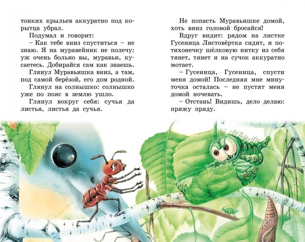 Как Муравьишка домой спешил фото книги 6