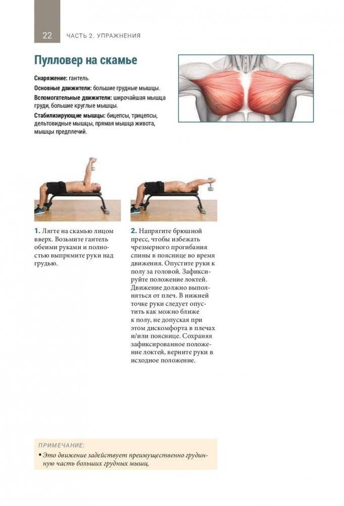 Анатомия тренировок со свободными отягощениями фото книги 11