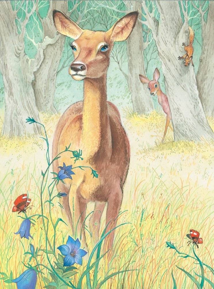 Бемби (ил. М. Митрофанова) фото книги 11