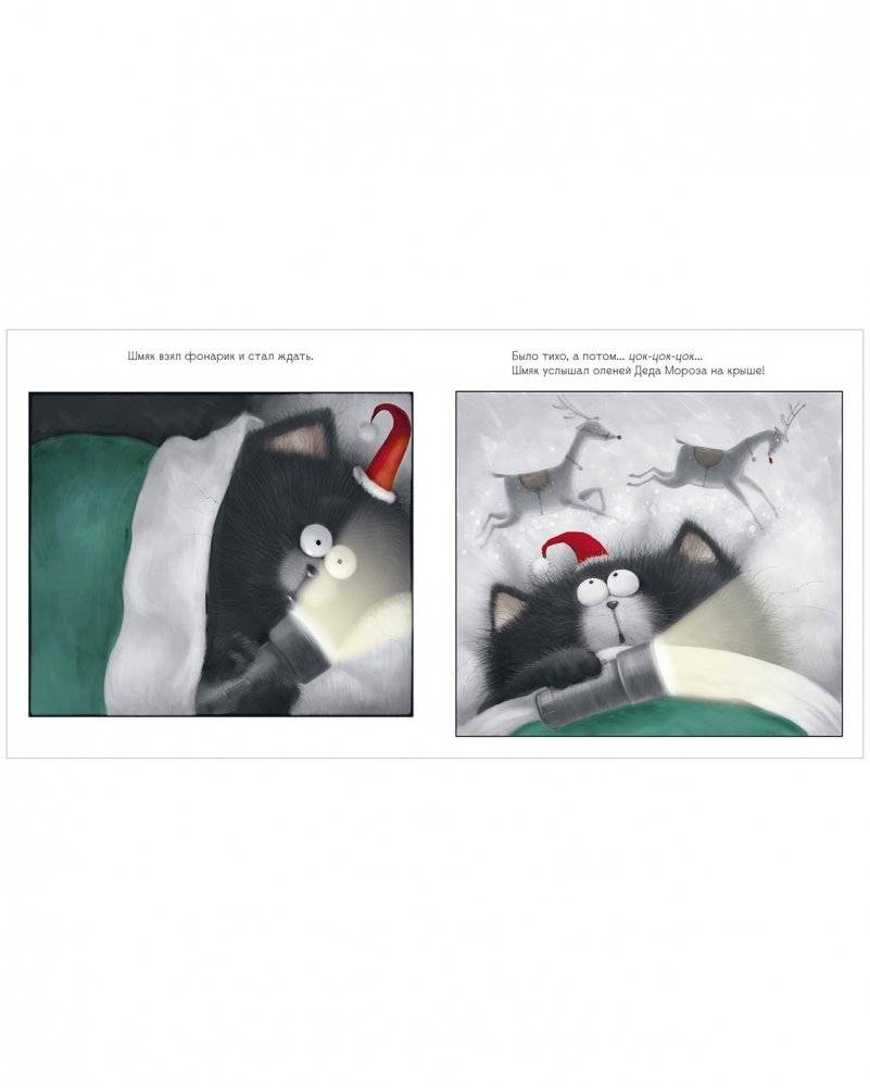 С Новым годом, Шмяк! фото книги 2