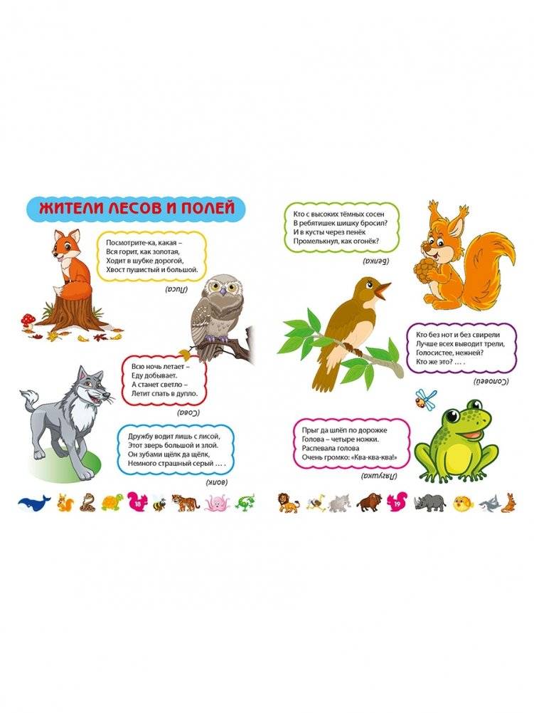 Лучшие загадки о животных фото книги 4