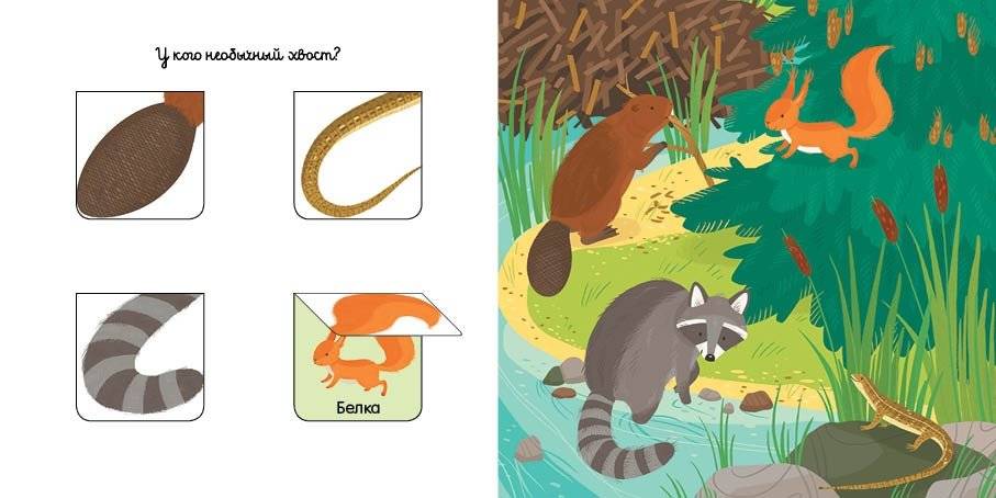 Уши, лапы и хвосты фото книги 3