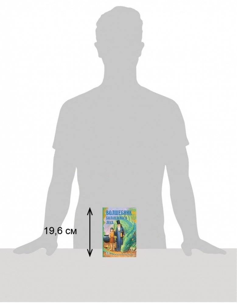 Волшебник Боландского леса фото книги 5