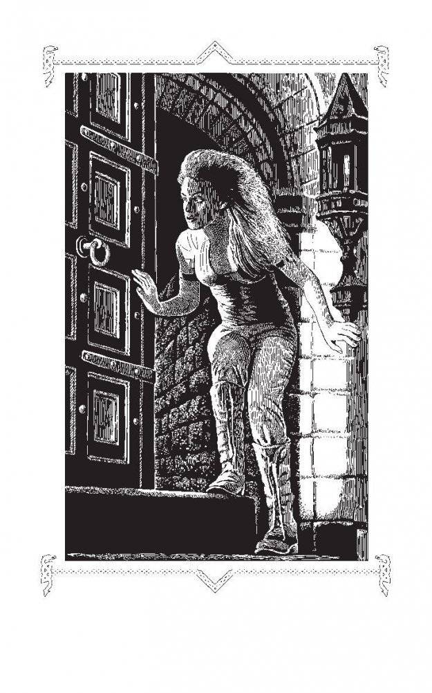 Вампир демону не эльф фото книги 2