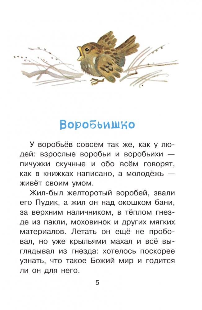 Случай с Евсейкой. Сказки фото книги 6