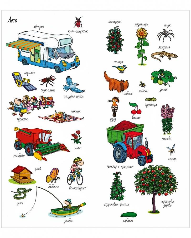Найди и покажи. Времена года фото книги 4