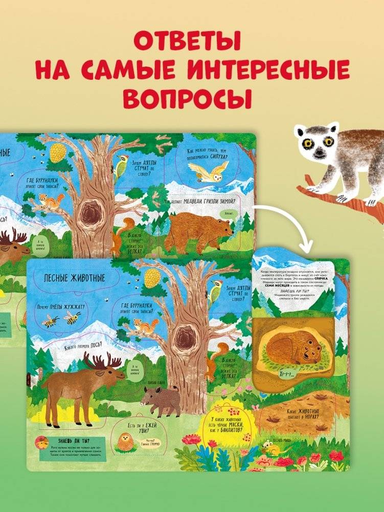 Большая книга с окошками. Животные фото книги 10