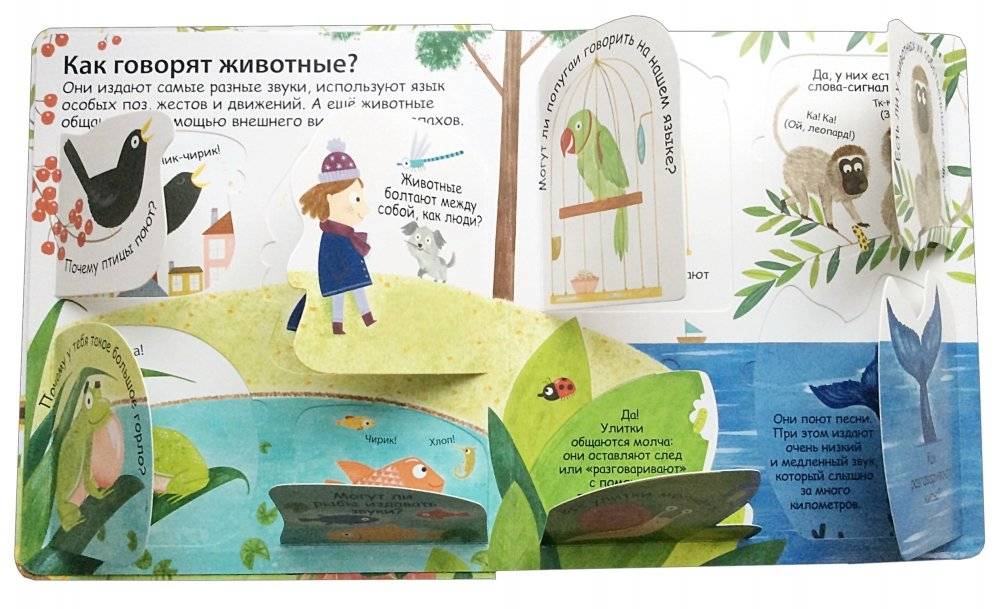 40 окошек. Как говорят животные фото книги 2