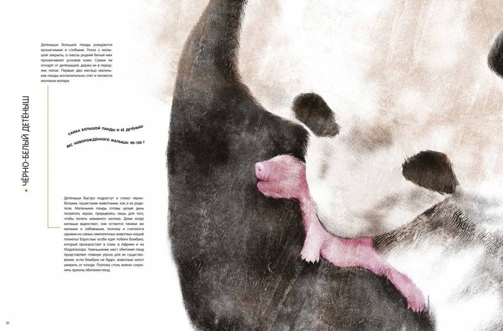 Детёныши животных в натуральную величину фото книги 3