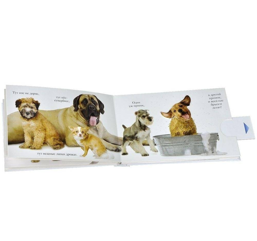 Гав фото книги 3