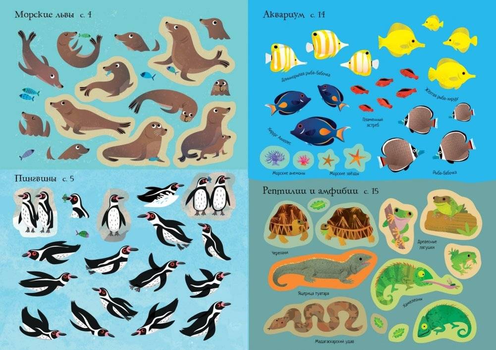 Зоопарк фото книги 5