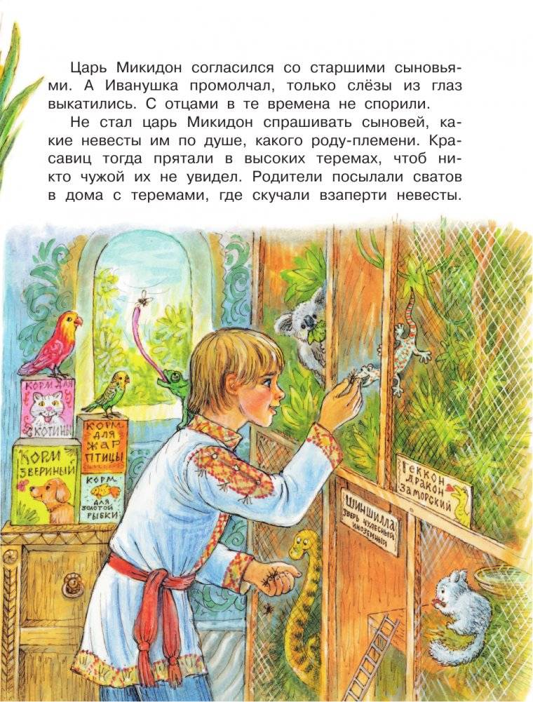 Царевна-лягушка фото книги 4