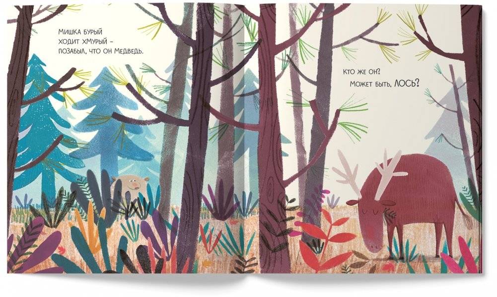 Медведь всегда медведь фото книги 4