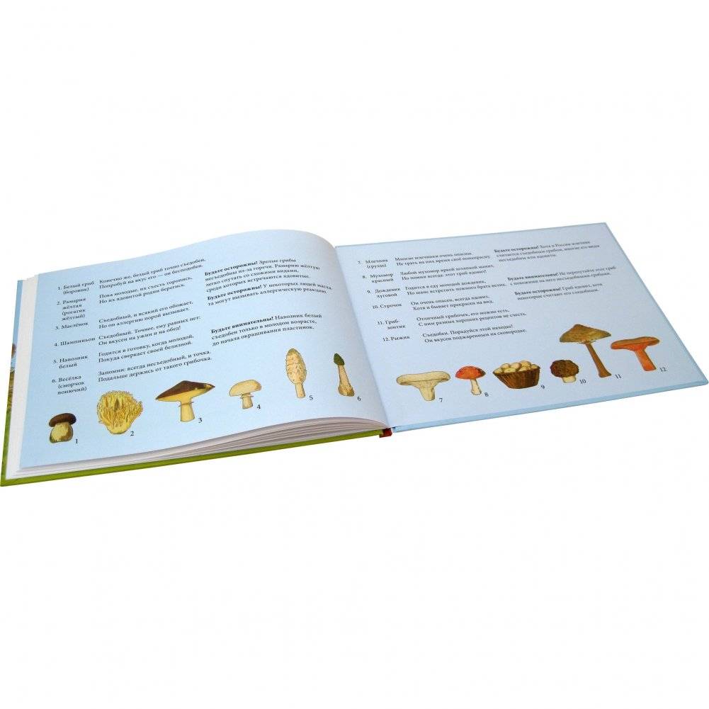 В гостях у грибного народца фото книги 5