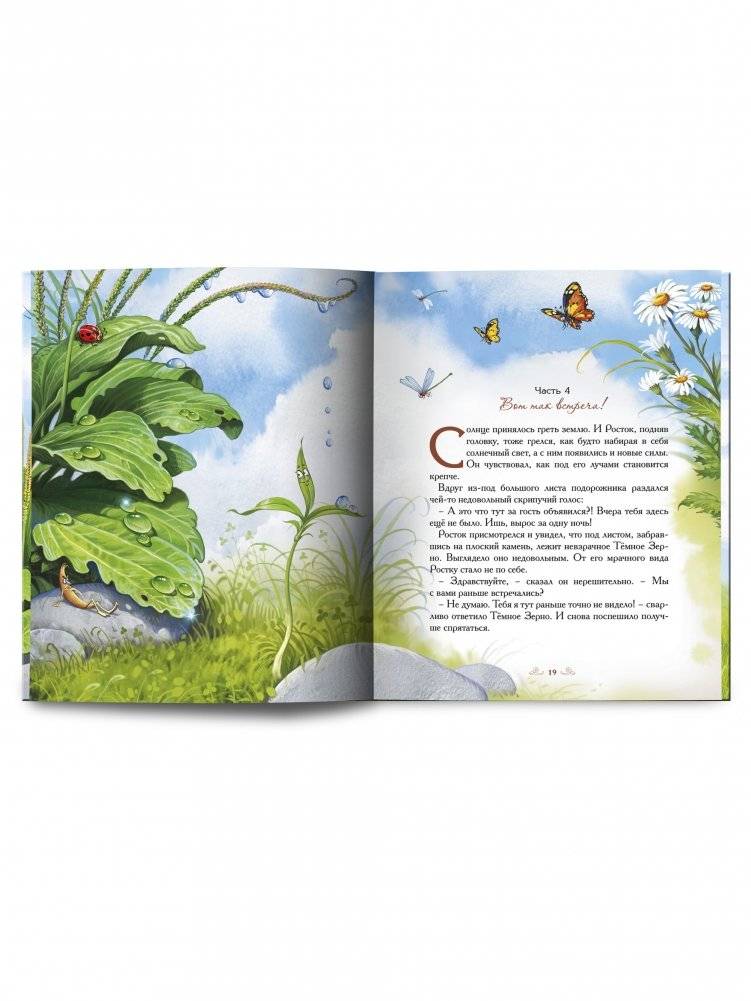 Колосок и солнце фото книги 6