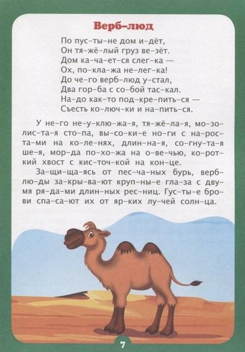 Интересно про животных. Слоговой тренажёр фото книги 5