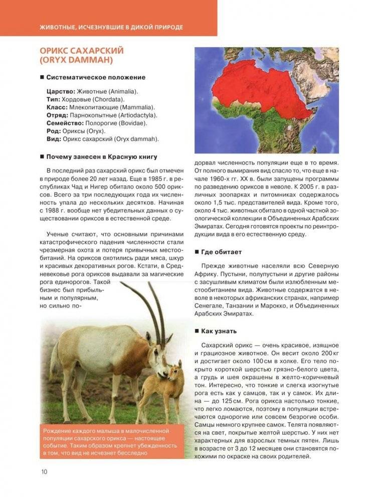 Красная книга. Животные мира фото книги 11