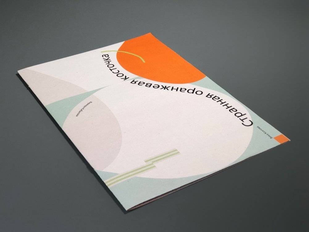 Странная оранжевая косточка фото книги 3