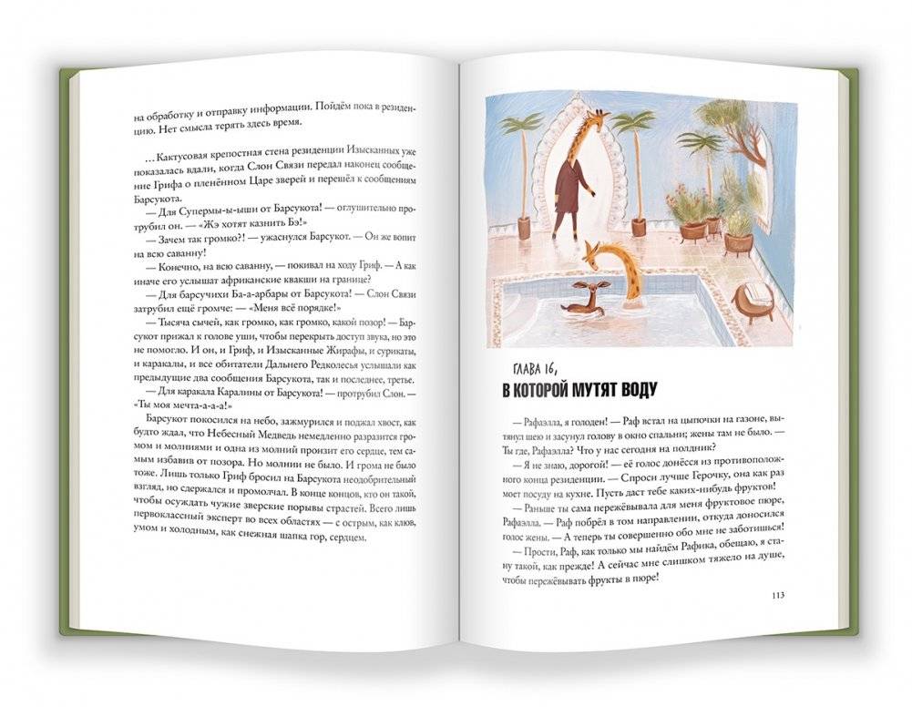 Боги Манго фото книги 4