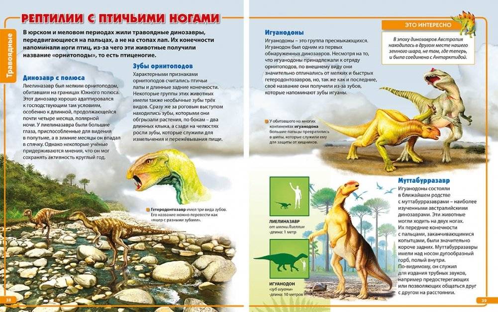 Динозавры - невероятные создания прошлого фото книги 4
