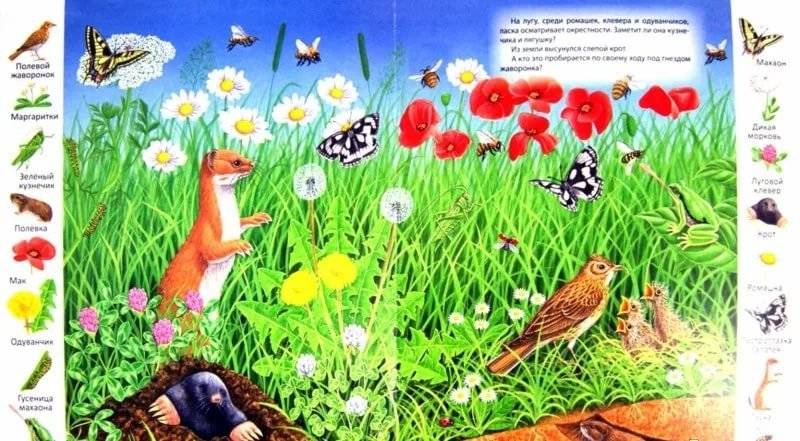 На лугу и в поле фото книги 2