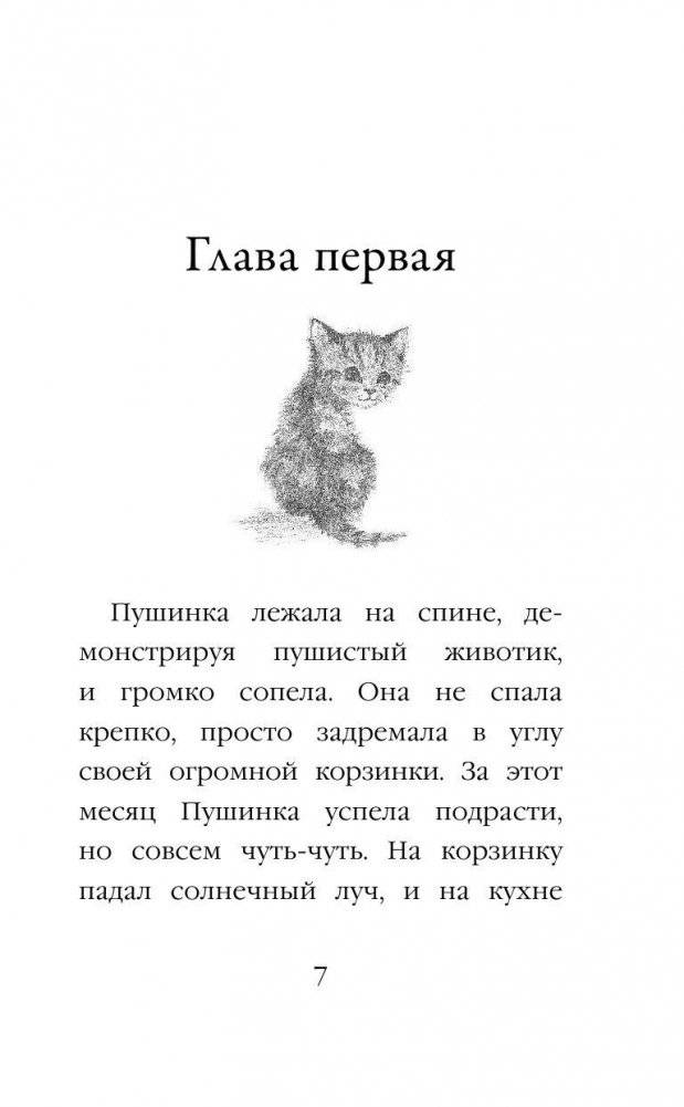 Котёнок Снежинка, или Зимнее волшебство (выпуск 19) фото книги 5