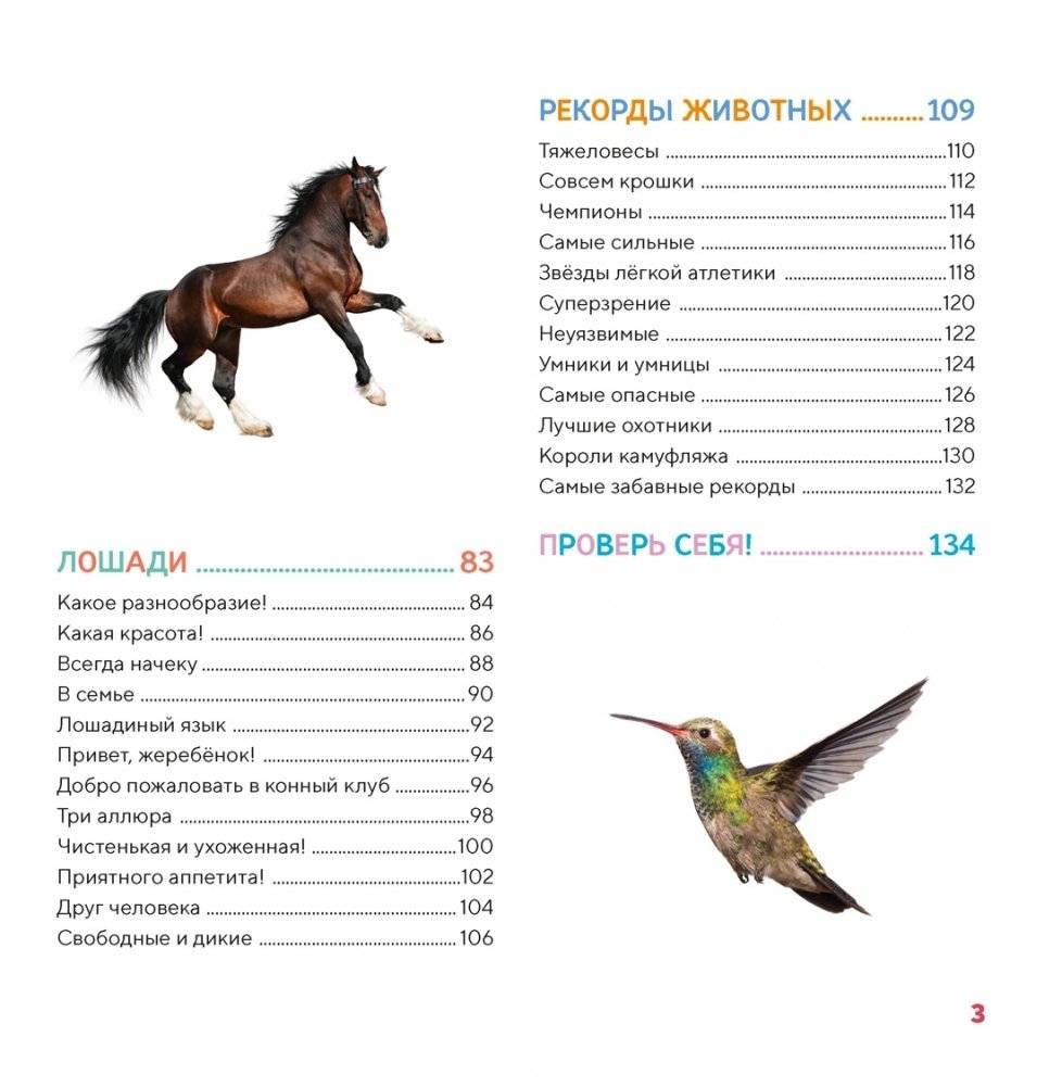 Моя первая книга о животных. 200 фотографий фото книги 3