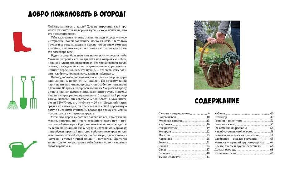 Мой первый огород. Посей, собери, съешь фото книги 2