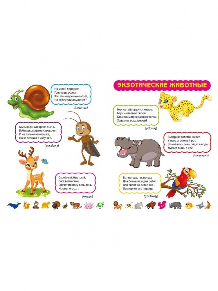 Лучшие загадки о животных фото книги 6