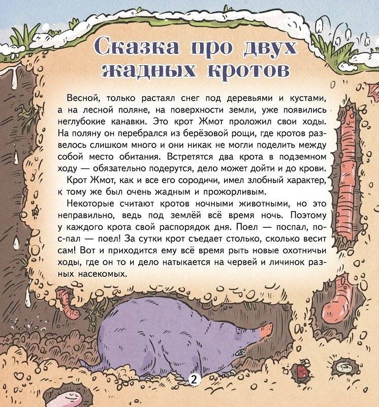 Сказка про двух жадных кротов. Серия «Сказки птиц и зверей» фото книги 2