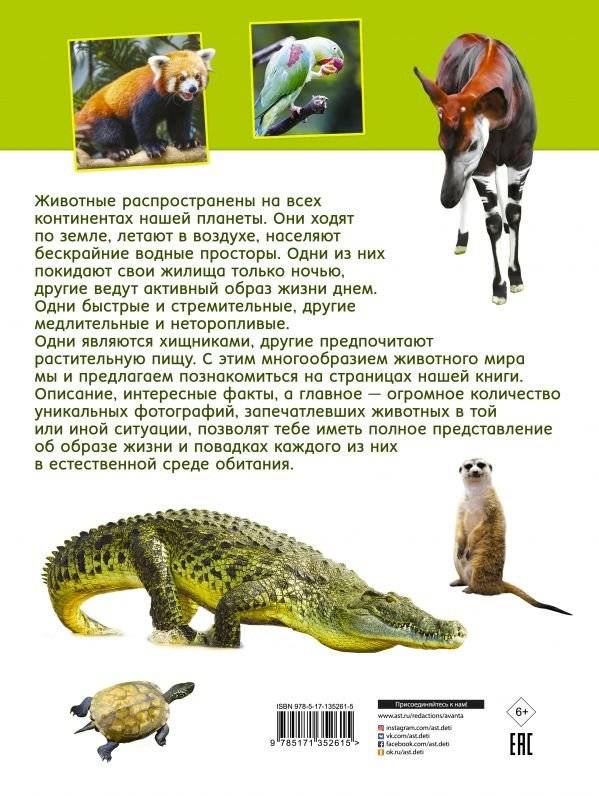 Первая книга о животных. 1000 фотографий фото книги 2