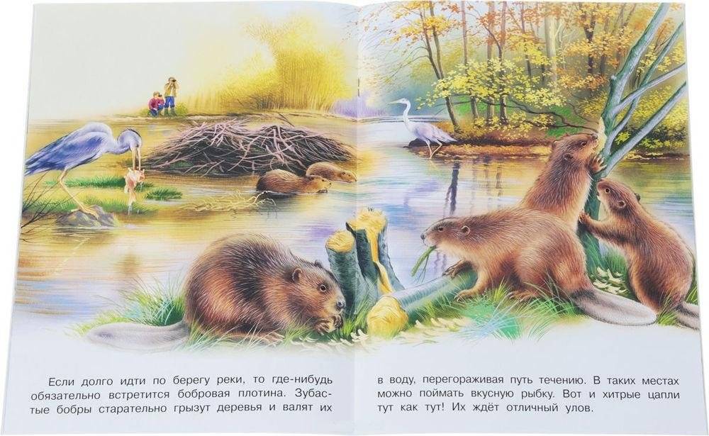 На реке фото книги 2