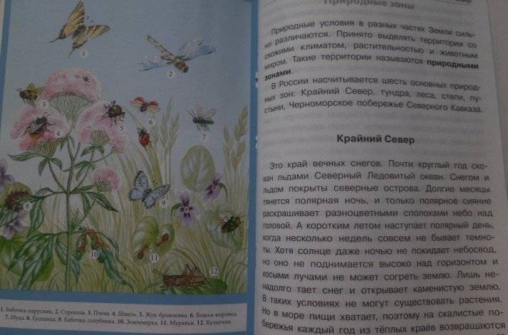 Животные: виды, особенности, места обитания фото книги 5