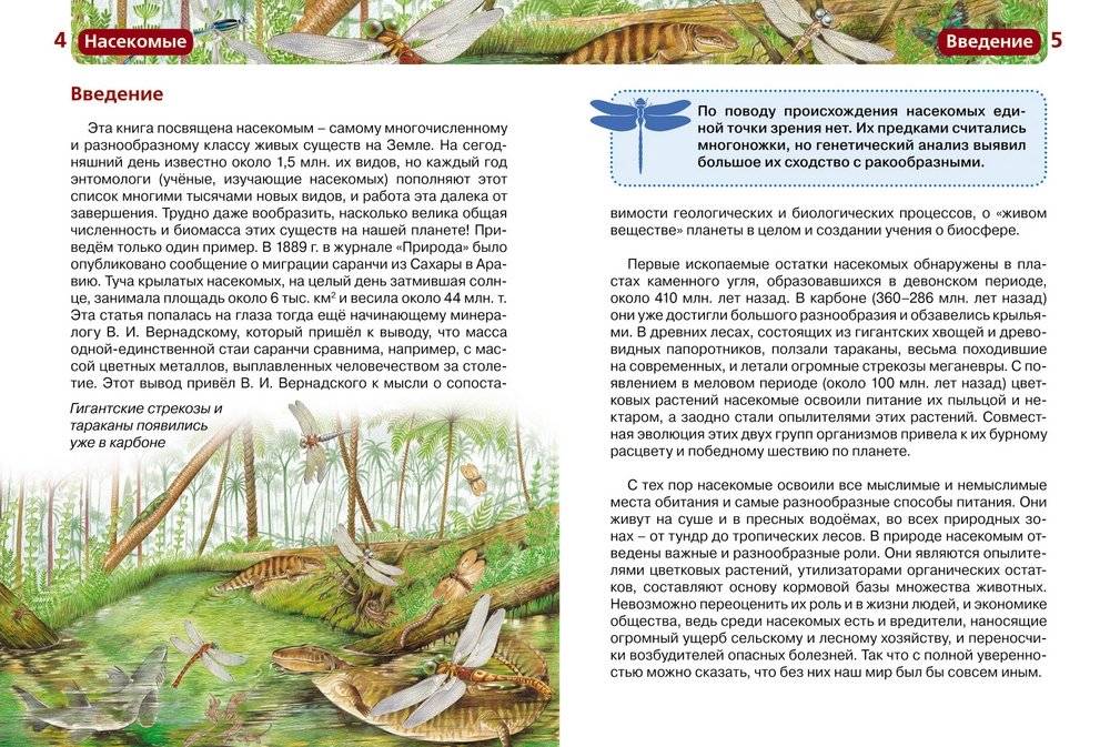 Насекомые фото книги 3
