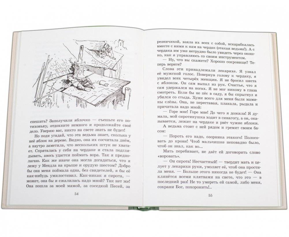 Мальчик Мотл фото книги 5