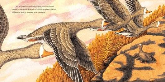 Осень гусенка фото книги 8