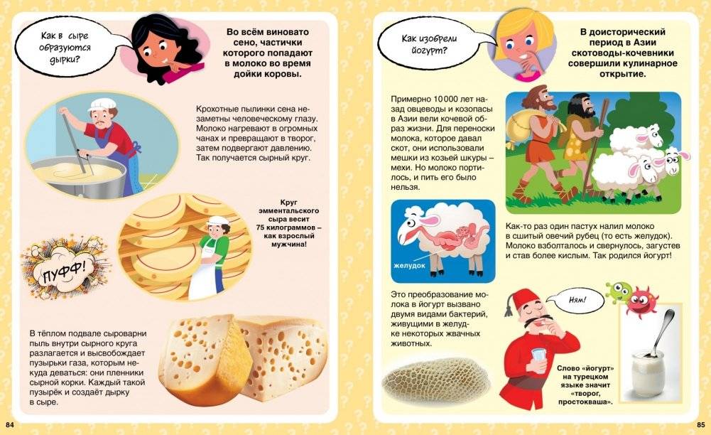 Как? 100 вопросов и ответов в картинках фото книги 5