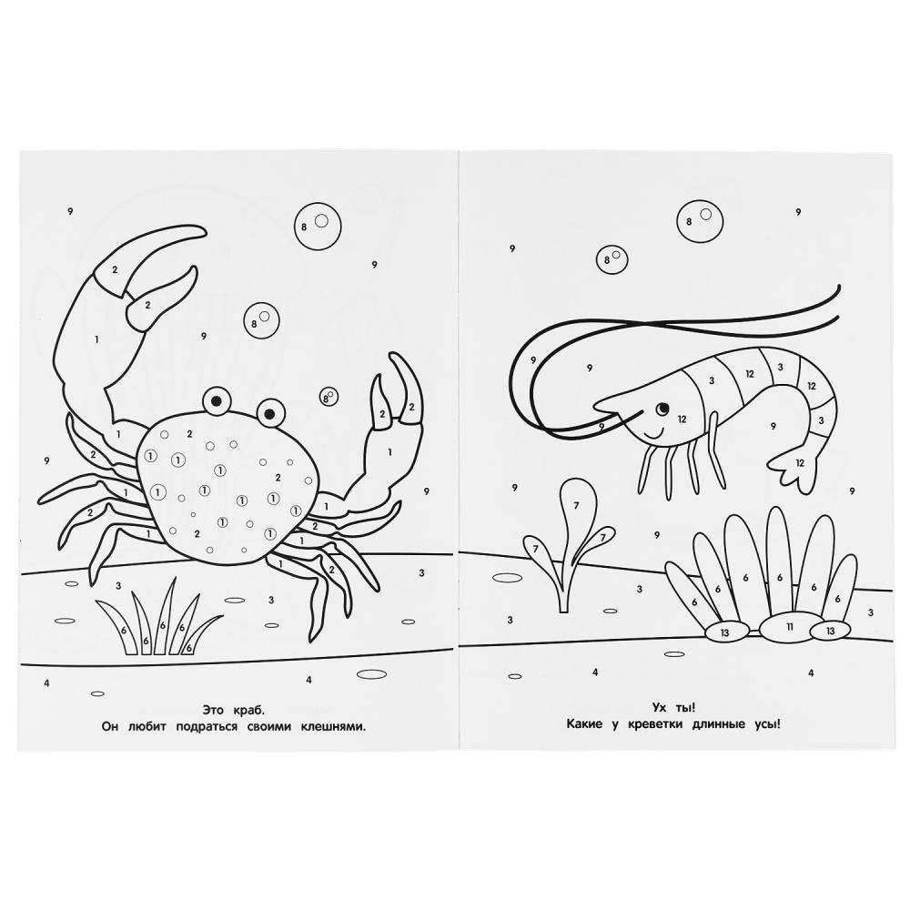 Акуленок фото книги 4