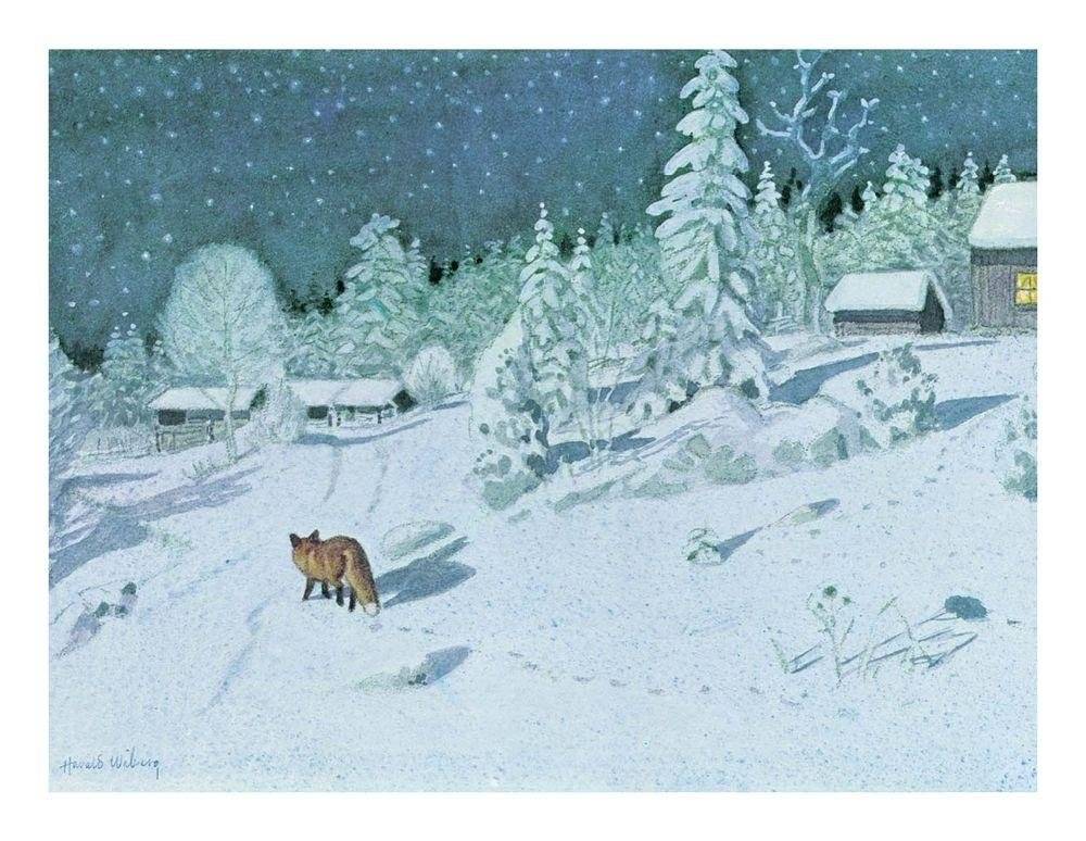 Томтен и лис фото книги 9