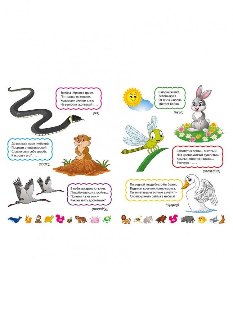 Лучшие загадки о животных фото книги 5