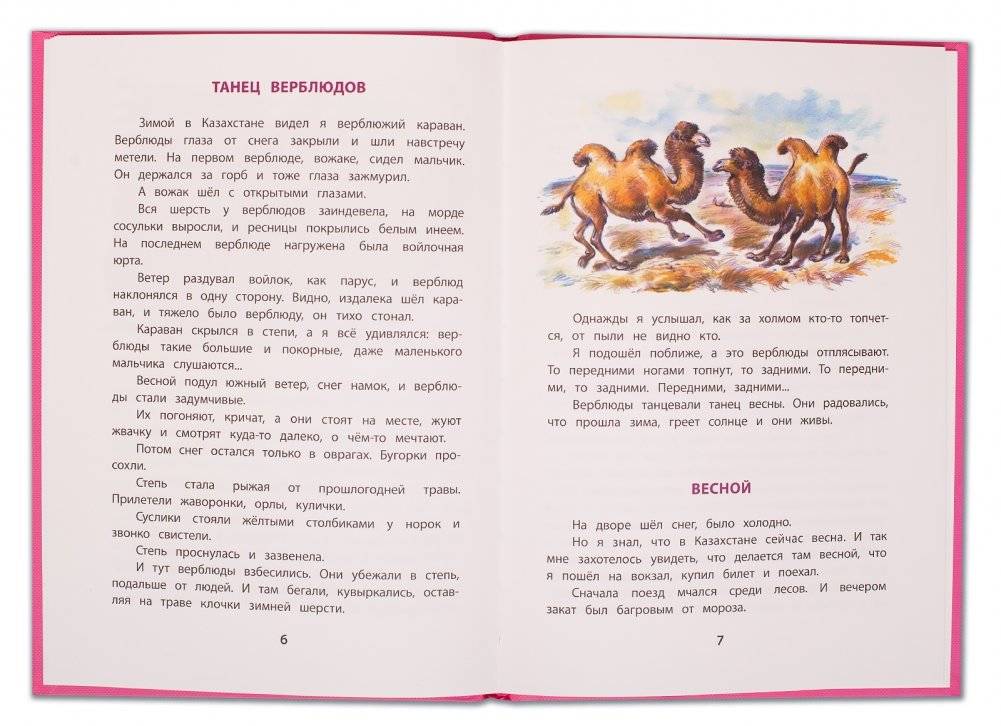Хитрый бурундук фото книги 3