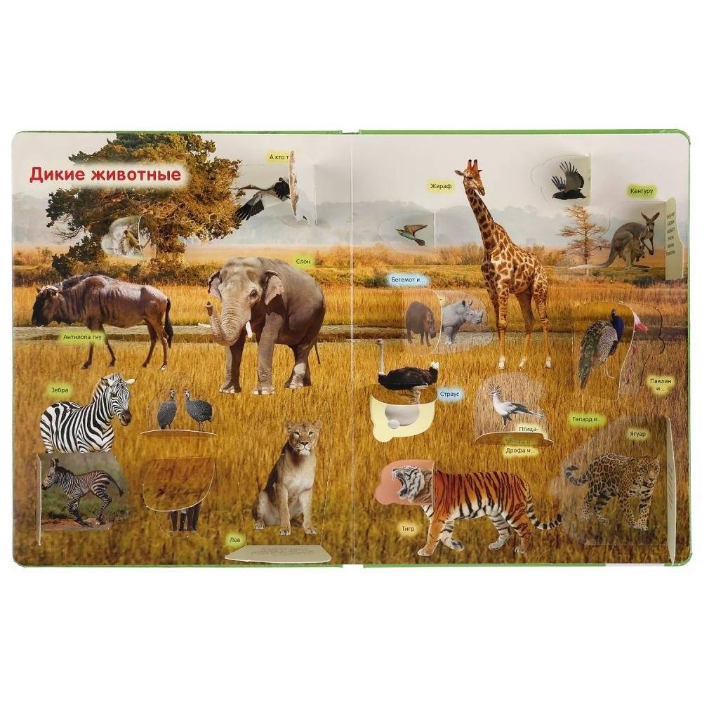 Животные фото книги 4