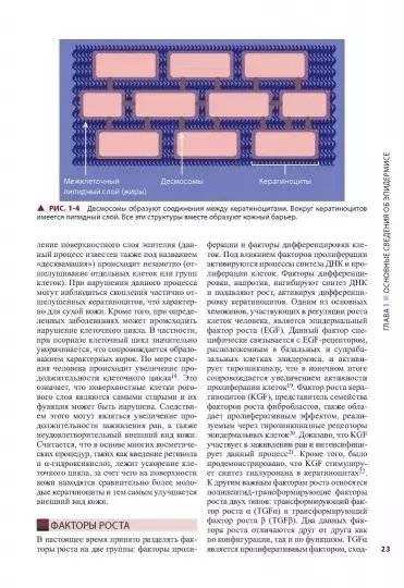 Косметическая дерматология. Принципы и практика. Руководство фото книги 4