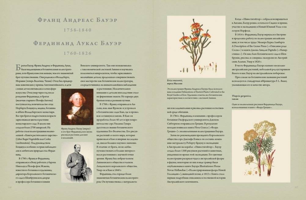 Ботаника для садоводов фото книги 7